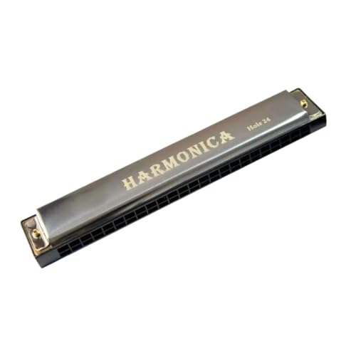 Professionelle polyphone Mundharmonika mit 24 Löchern C-Tonart-Blues für Anfänger(Silver)