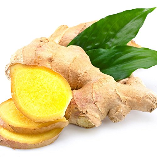 1kg Frischer Ingwer Pamai Pai® frisch Ginger Wurzel Ingwerwurzel