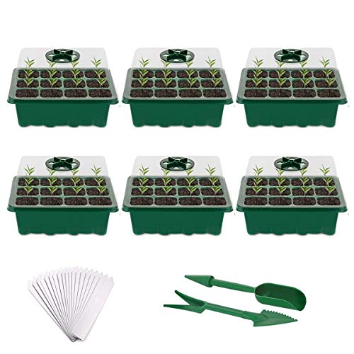 Fuuner Gewächshaus Anzuchtkasten Packung mit 6 Stück 72 Zellen Anzuchtschale,Keimung Starter Tray Propagator Keimschale mit verstellbaren Kuppeldeckeln,für den Anbau von Pflanzensamen Grün