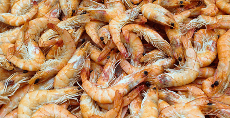 getrocknete Shrimps