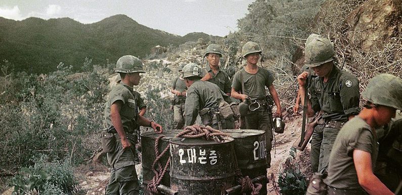 Südkoreas Rolle im Vietnamkrieg