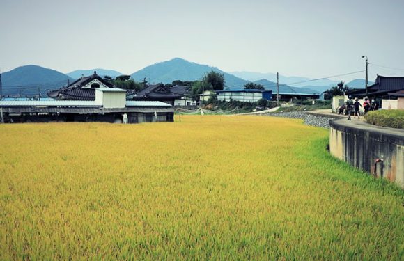 Gyeongju