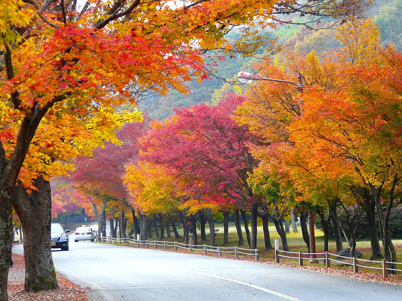 Naejangsan