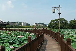 Jeonju-Deokjin-Park