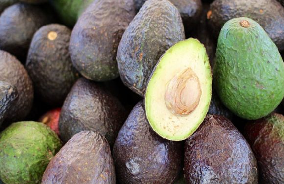 Korea nimmt giftige US-Avocados aus dem Verkauf