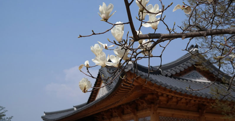 Seoul-Ehrenbürger