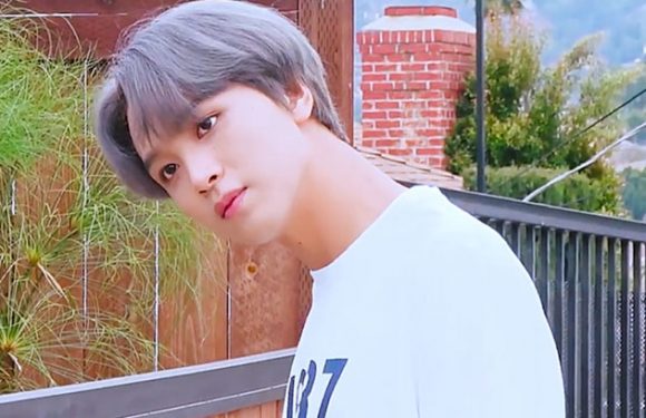 10+ Fakten über Lee Donghyuk (Haechan)