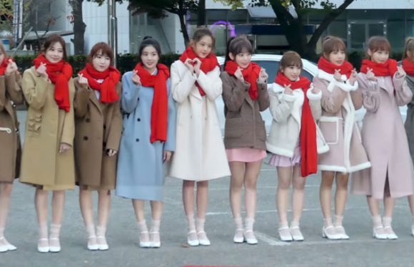 Neue Infos zu IZ*ONE: Comeback im Dezember & Disbanding unklar