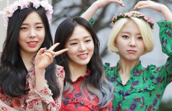 Ladies Code verlassen Polaris Ent. und pausieren vorerst