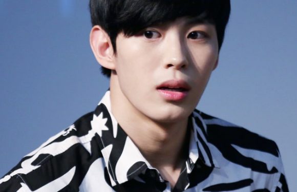 Fans von SHINee und VIXX halten zu Hongbin