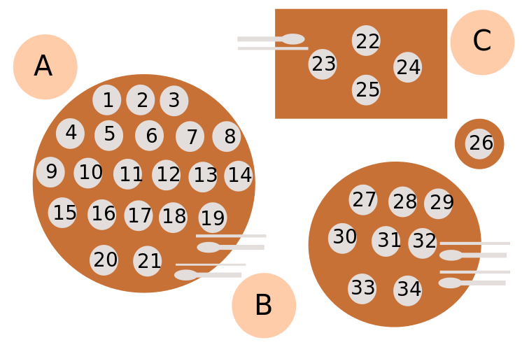 Surasang Aufteilung