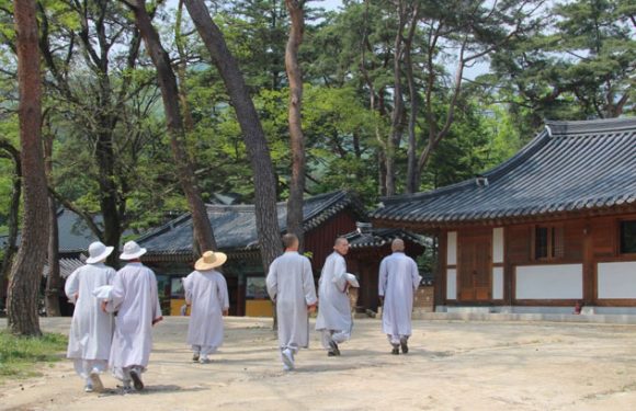 Templestay: Religion direkt miterleben