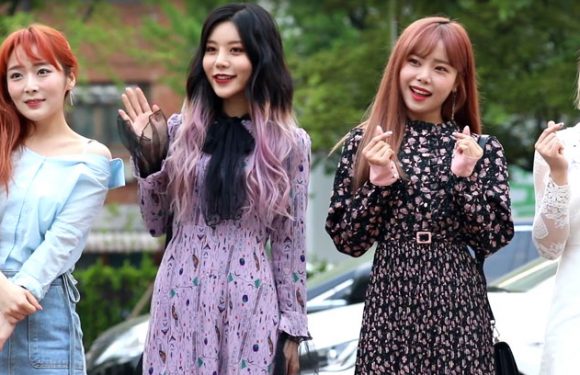 BADKIZ sind disbandet