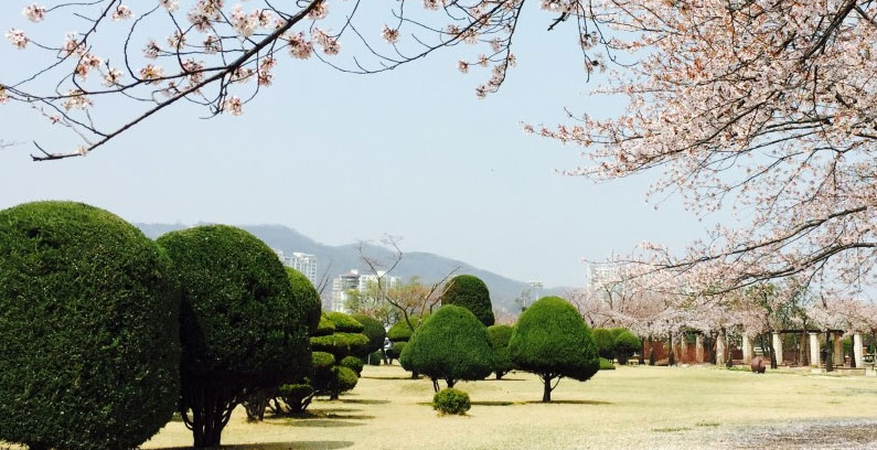 Seoul-6