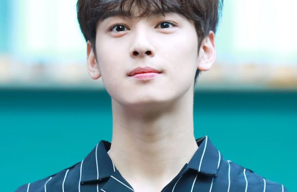 Shortnews: ASTRO’s Cha Eunwoo hat eine Rolle für das OCN Dorama „Island“ angeboten bekommen