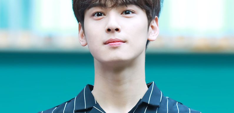 Shortnews: ASTRO’s Cha Eunwoo hat eine Rolle für das OCN Dorama „Island“ angeboten bekommen