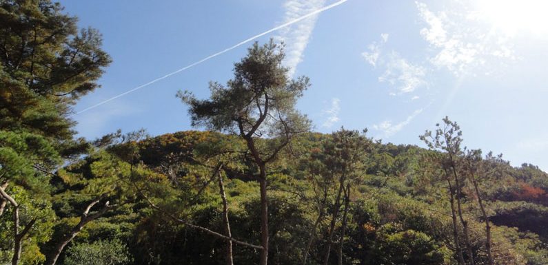 Sieben Städte und Bezirke wurden zu Sonderkatastrophenzonen erklärt