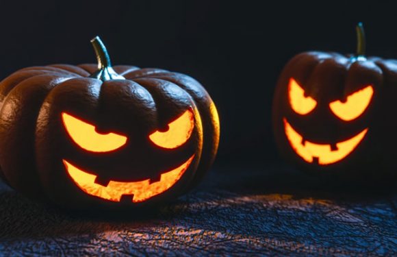 Halloween-Special 2020: Ihr könnt aktiv mitentscheiden!