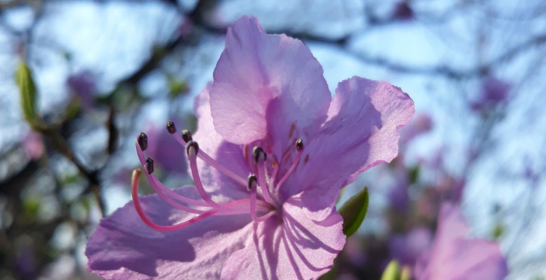 Seoul-16