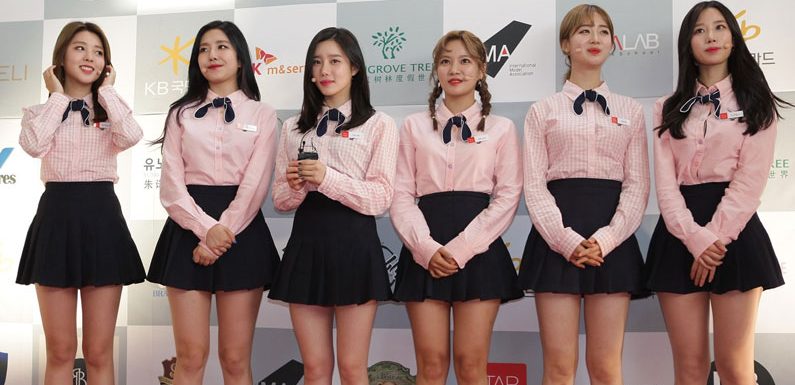 BerryGood werden nicht disbanden – das ist grade los bei ihnen