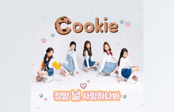 HR Entertainment debütiert im März die Girlband Cookie