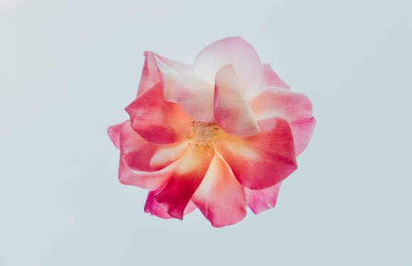 #StopAsianHate – diese koreanischen Promis beziehen Stellung