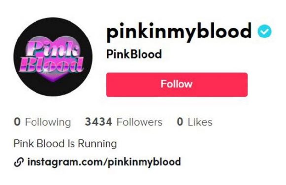 PinkBlood – ist das die neue Girlband von SM Entertainment?