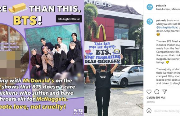 Peta Asia kritisert BTS scharf für McDonald’s Kooperation