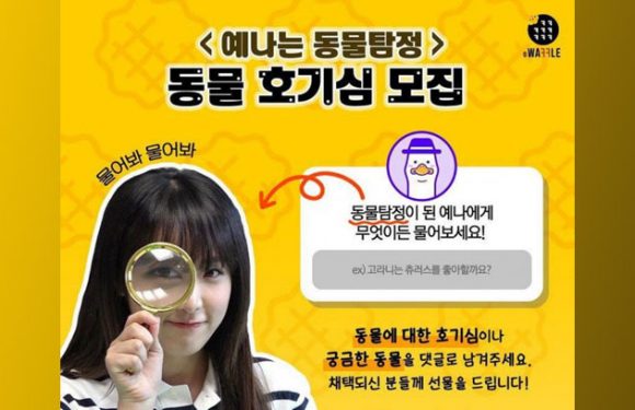 Choi Yena erhält eine eigene Web Variety Show