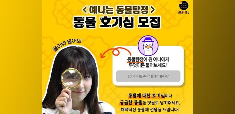 Choi Yena erhält eine eigene Web Variety Show