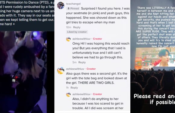 BTS Fansite hat beim Konzert andere ARMYs massiv bedrängt