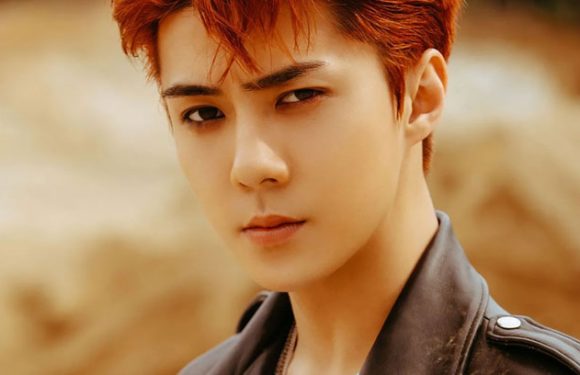 EXOs Sehun wurde kürzlich operiert