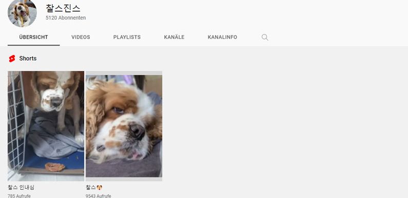 LOONAs Hyunjin hat einen YouTube Kanal für den Hund ihres Bruders eröffnet
